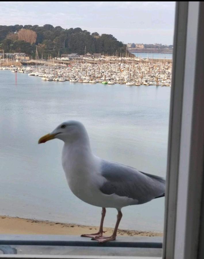 Nid De Corsaire, Vue Mer & Acces Plage Saint-Malo Extérieur photo